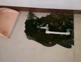 保亭卫生间测漏水多少钱